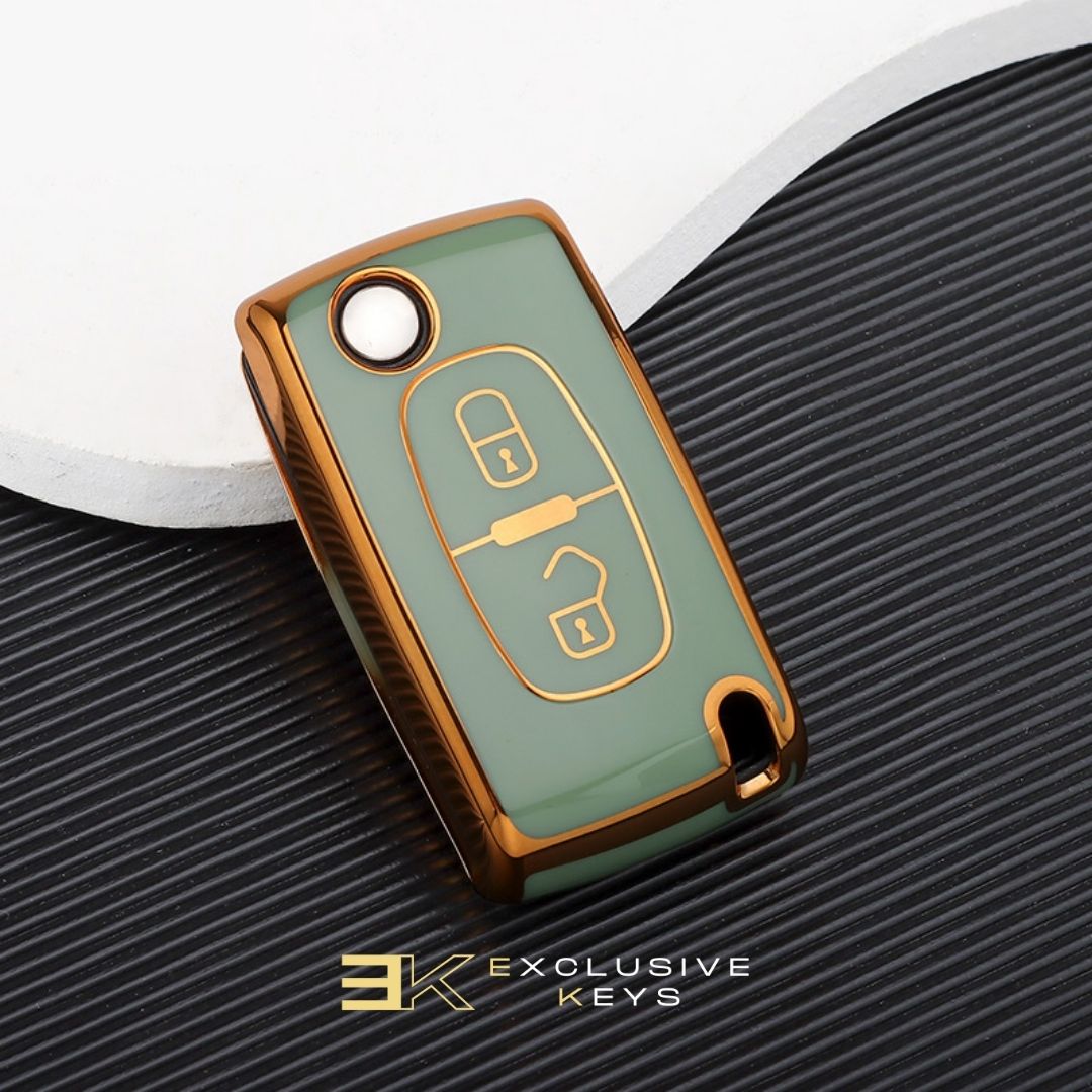 Case for Peugeot 107, 207, 307, 308, 407, 607, 3008, 5008 (2 Buttons)