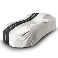 Light Gray Black Stripe